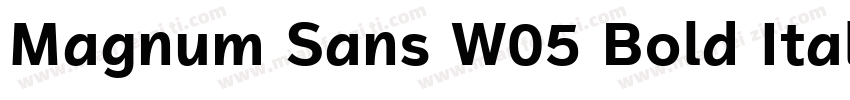 Magnum Sans W05 Bold Italic字体转换